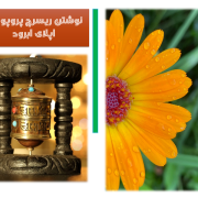 نوشتن research proposal اپلای ابرود هنر نوشتن research proposal اپلای ابرود هنر