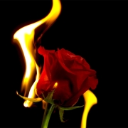 دلایل رد و ریجکت پرونده اپلای ابرود دلایل رد و ریجکت پرونده اپلای ابرود
