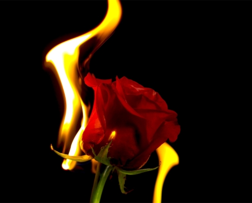 دلایل رد و ریجکت پرونده اپلای ابرود