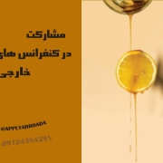 شرکت در کنفرانس های خارجی 2025 شرکت در کنفرانس های خارجی 2025