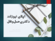 پوزیشن دکتری فول فاند نیوزلند کانتربری