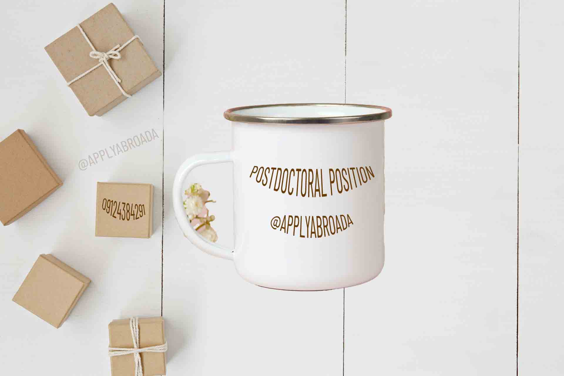 پوزیشن پست داک مهندسی صنایع فرانسه - 2024