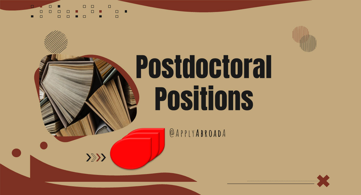 پوزیشن پست‌ داک مطالعات سازمانی فنلاند، 2025