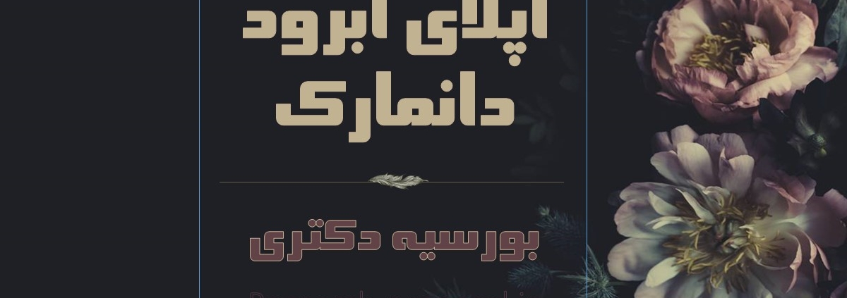 اپلای ابرود دانمارک 2025