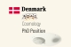PhD Position in Numerical Cosmology at SDU 2026 Denmark